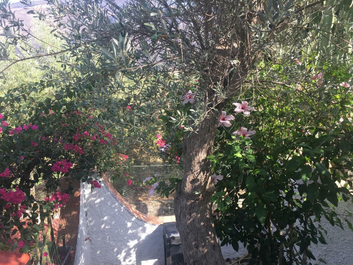 Villa Villino Fraginesi Castellammare del Golfo Exterior foto