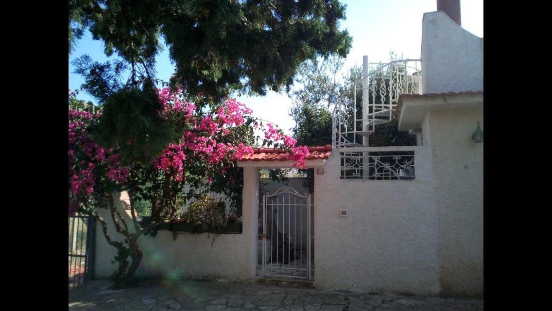 Villa Villino Fraginesi Castellammare del Golfo Exterior foto